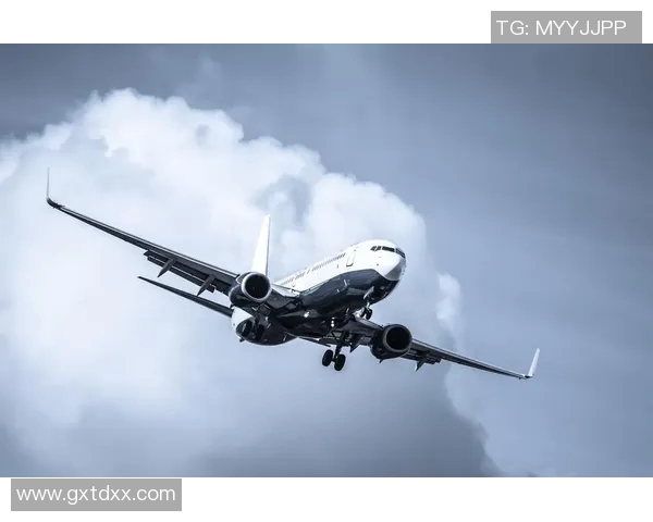 喷气飞机在布里斯班的飞行体验与城市魅力的完美结合