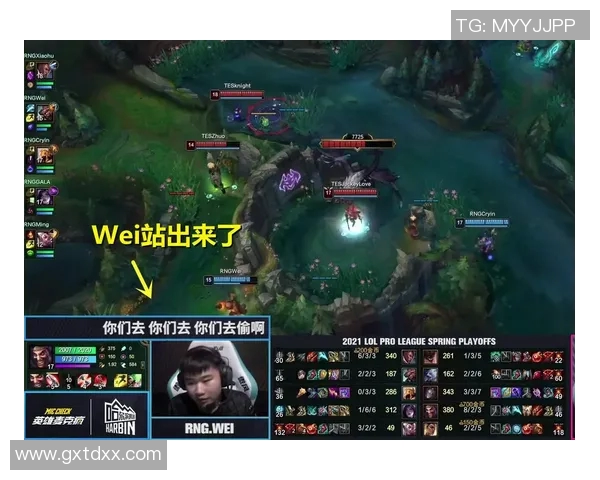 RNG与TES精彩对决全场回放分析与战术解读