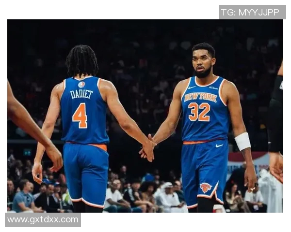 老鹰与尼克斯对决分析全方位解读两队战术与球员表现