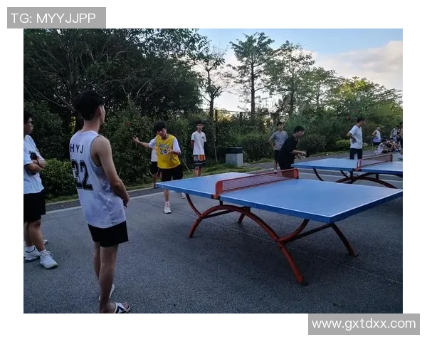 陈伟独家分享乒乓球技巧与心得助你提升球技的全面指南