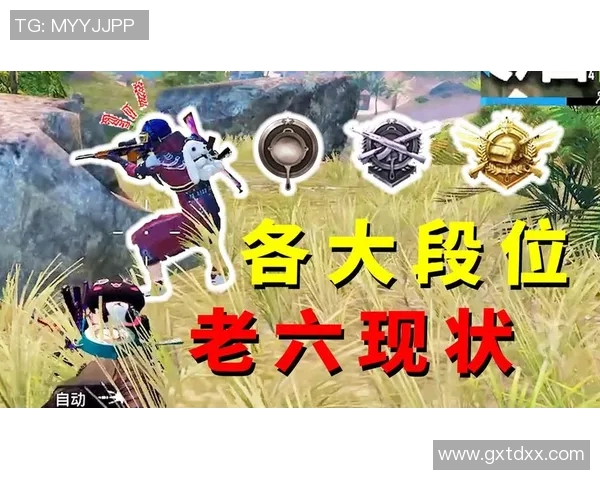 热议和平精英V5版本带来的游戏体验与状态变革分析
