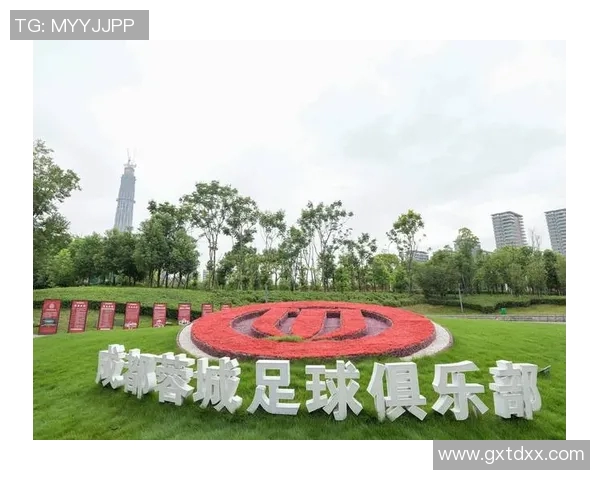 成都足球队挑战赛特别报道：从逆境中崛起的奋斗历程与荣耀追求